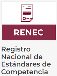 Conoce los estándares de competencia existentes.