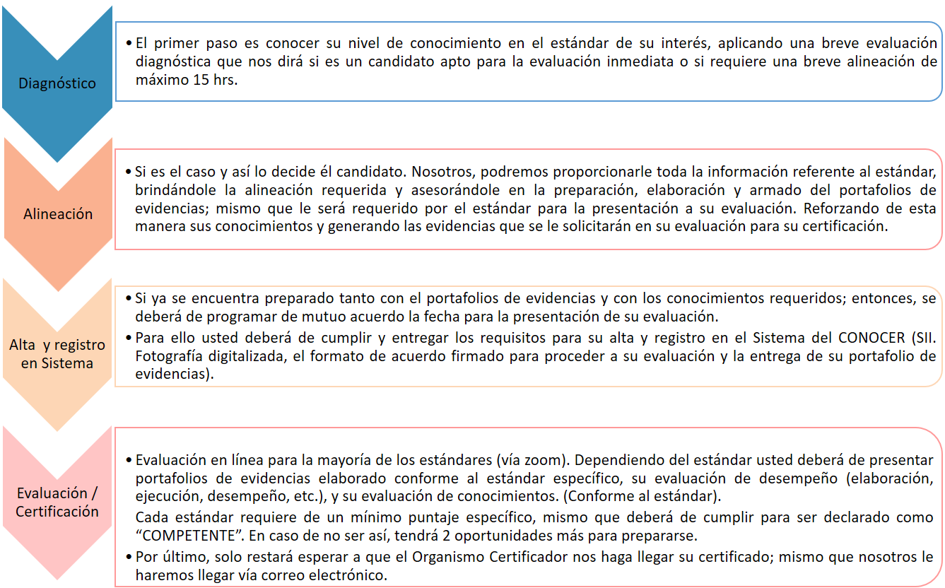 Proceso de certificación